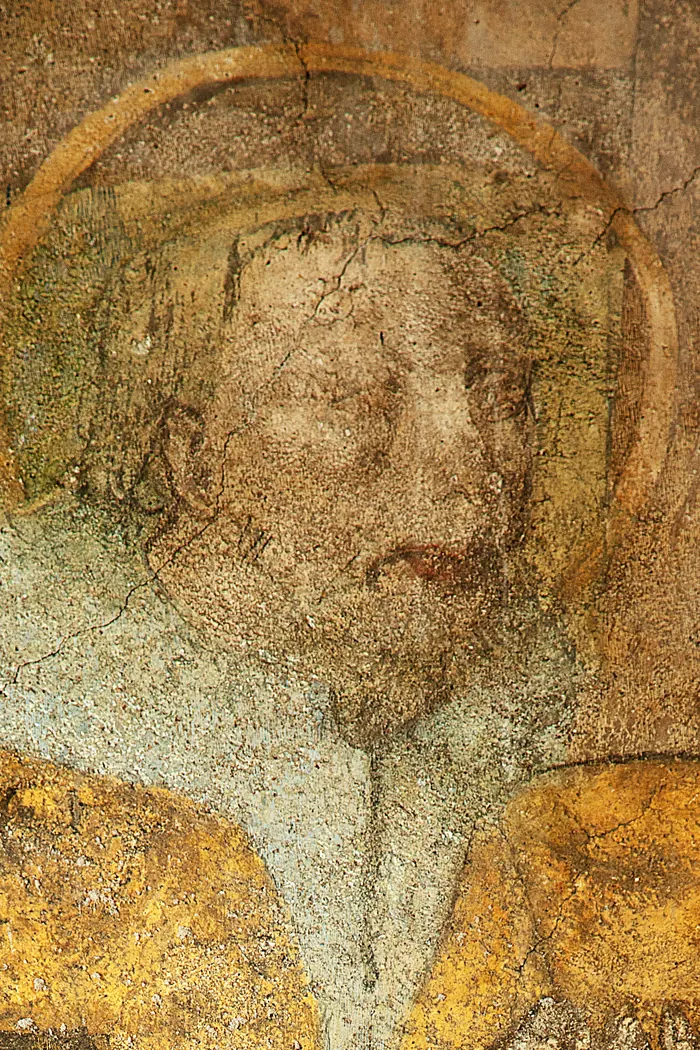 Testa del re inginocchiato, con barba e aureola.